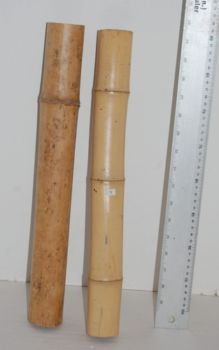 Bamboo poles reptiles - bamboo, reptiles,