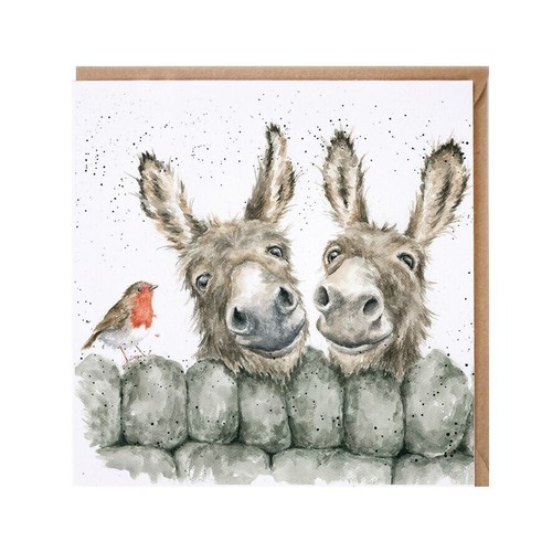 Donkeys greeting card - greeting,