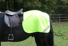 Fluorescent hi viz horse