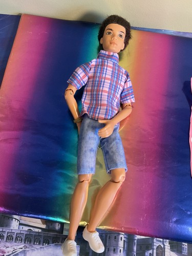 Barbie scene boy male doll - male,