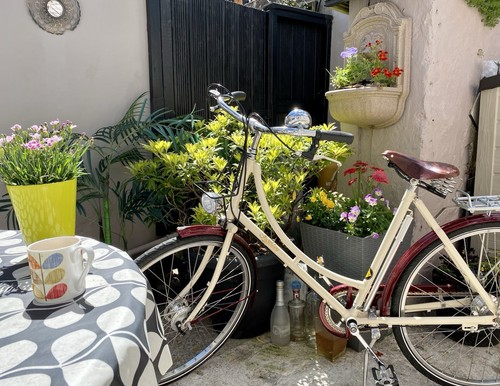Pashley sonnet pure ladies - sonnet,