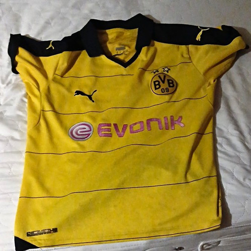 Puma borussia dortmund - dortmund, bvb