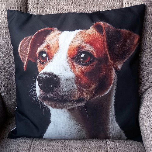 Jack russell black white dog - russell,