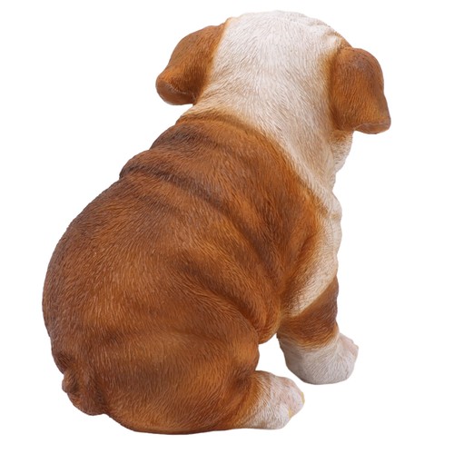 English bulldog puppy - english,