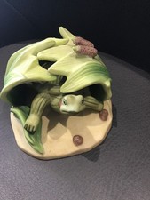 Woodland Surprises Turtle