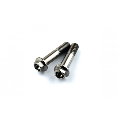 Titanium ducati swingarm - ducati, hub