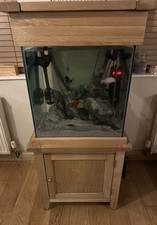 Aqua Oak 155 L All‑Glass Aquarium – Recently Refurbished