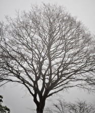 Polaroid SX70 Land Camera / With B&W Film Pack / Tested / Excellent