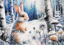 SAMPLE SET 20xA6 Sheets ~