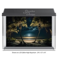 Dark Night Beach Scene