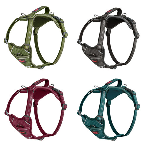 Halti anatomy dog - halti, harness