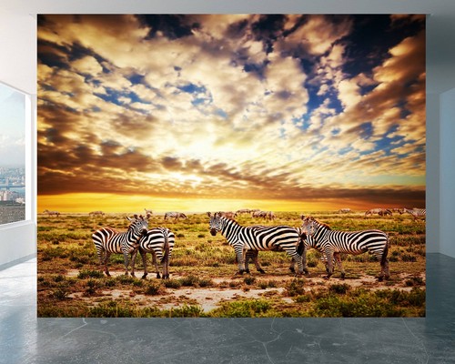 Water resistant zebra wall - water-resistant, art