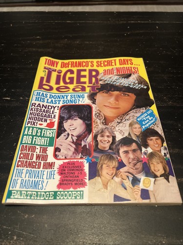 Tiger beat magazine october - beat,