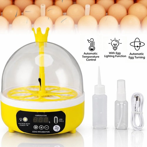 Automatic egg incubator - egg,