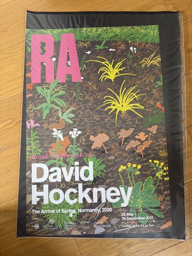David hockney the arrival - hockney,