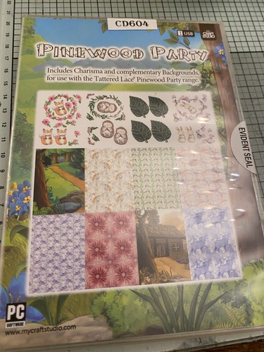 Pinewood party usb craft - usb,