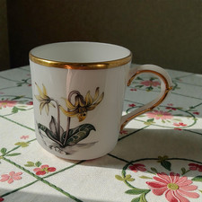 Royal Worcester Fine Bone