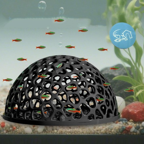 Shrimp breeding cave fish - shrimp,