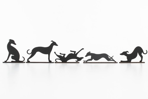 Set whippet greyhound - of,