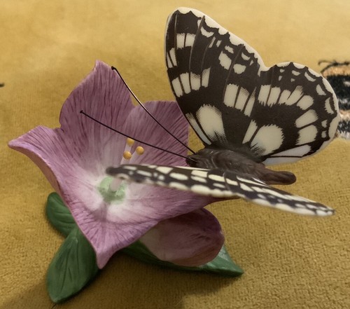 Marbled white 1985 franklin - marbled-white,