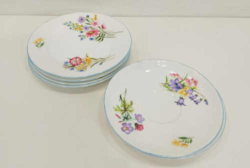 Shelley wild flowers - wild, set