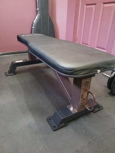 Stealbody flat weights bench - weights,