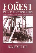 The Forest in Old Photographs