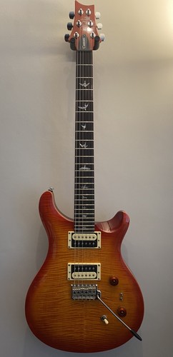 Prs custom in - 24-08,