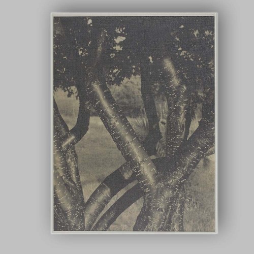 Canvas wall art - canvas,