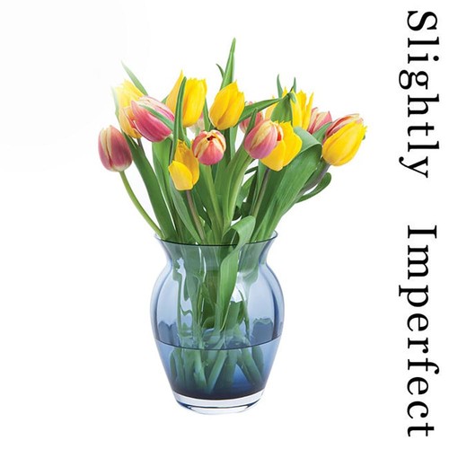Florabundance colours tulip - colours,