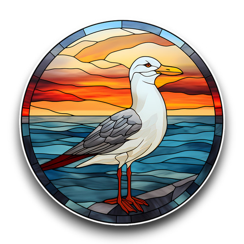 Large seagull wild bird - large,