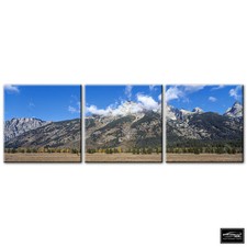 Landscapes Mountain Forest