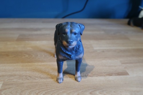 North light rottweiler bulldog - light,