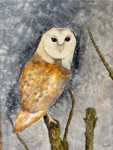 Original watercolour barn owl - original,