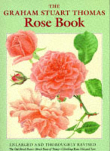 The graham stuart thomas rose - graham,