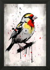 Border canary painting framed - border,