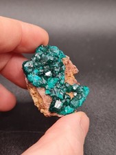 Dioptase Specimen - Congo -
