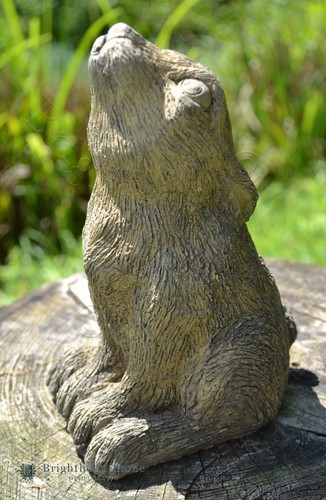 Baby moon gazing - baby, hare