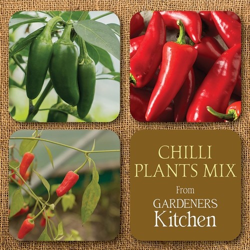 Chilli plants mixed - chilli, 'mixed