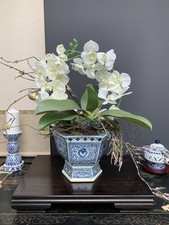 Irregular Hexagonal Blue and White Oriental Planter with Lotus Medallions