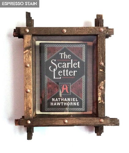 Book collector display case - book,