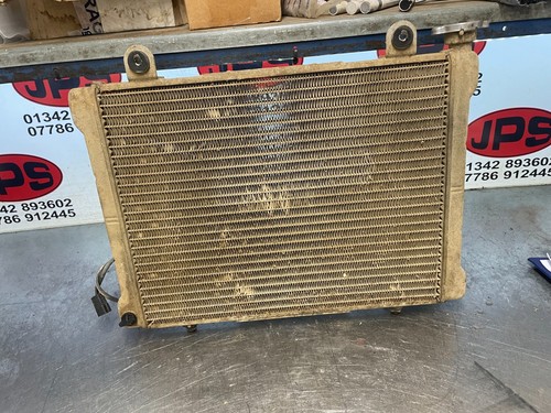 Coolant radiator polaris - coolant, x