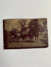 Antique Tintype Horse Drawn