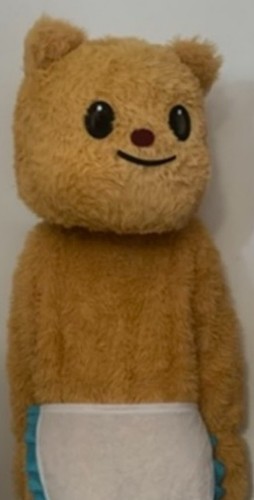 Teddy bear adult mascot - bear,