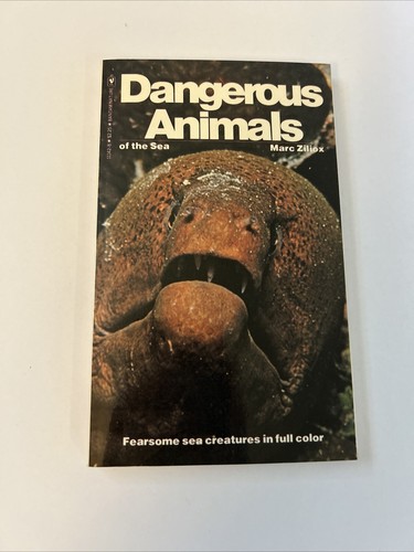 Dangerous animals the sea - dangerous,
