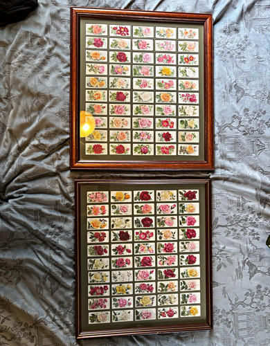 100 wills cigarettes cards - cigarettes,