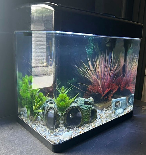 40l glass freshwater aquarium - glass,