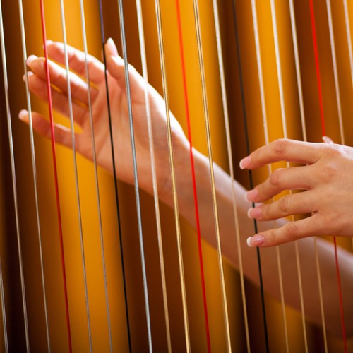 7pcs professional lyre strings - lyre,