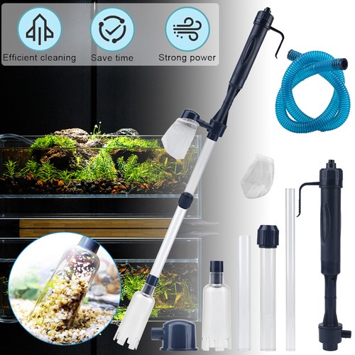 Aquarium gravel cleaner fish - aquarium,