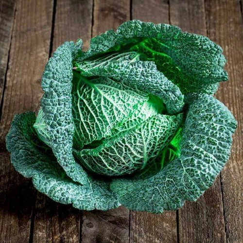 Cabbage cordesa 30 - cordesa, f1